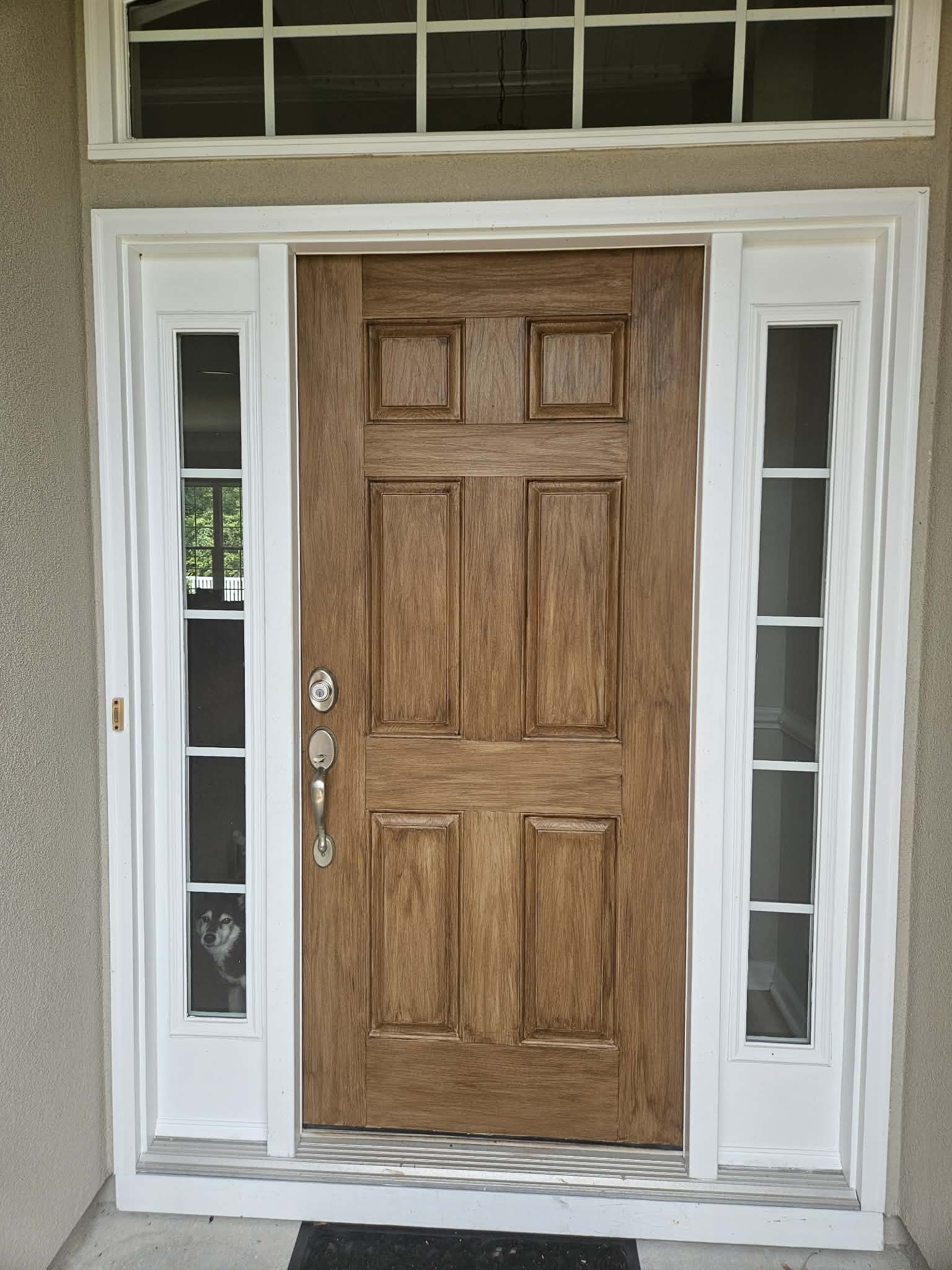 Brown wooden front door with small dog